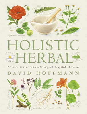 Holistic Herbal: A Safe and Practical Guide to Making and Using Herbal Remedies (Paperback)
