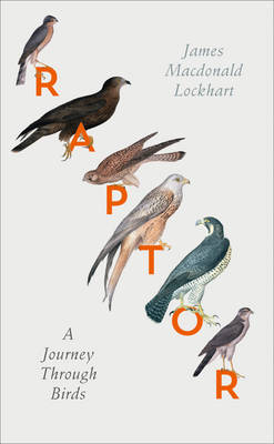 Raptor: A Journey Through Birds (Hardback)