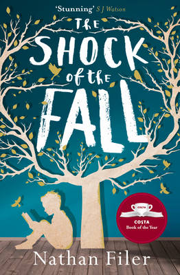 The Shock of the Fall (Paperback)