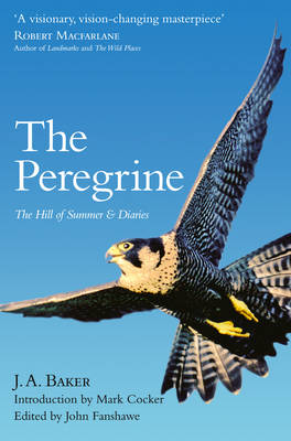 The Peregrine: The Hill of Summer & Diaries: the Complete Works of J. A. Baker (Paperback)