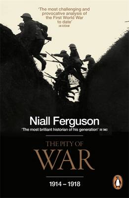 The Pity of War (Paperback)