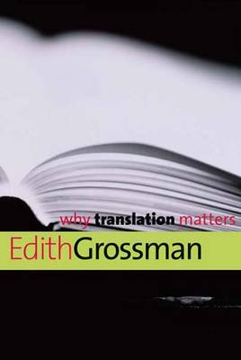 Why Translation Matters - Why X Matters Series (Paperback)