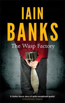 the wasp factory book