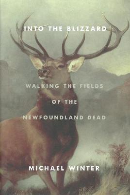 Into the Blizzard: Walking the Fields of the Newfoundland Dead (Hardback)
