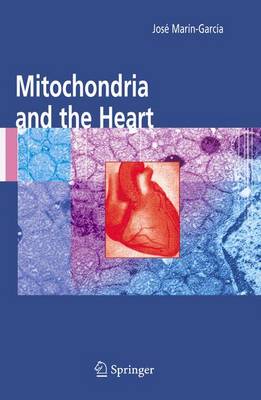 Mitochondria and the Heart - Developments in Cardiovascular Medicine v.256 (Hardback)