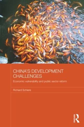 China's Development Challenges: Economic Vulnerability and Public Sector Reform (Paperback)