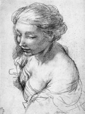 Great Drawings of Women: From the Renaissance to the Twentieth Century (Paperback)