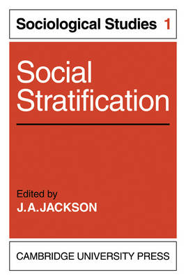 socialization and social stratification essay socialization and social stratification essay