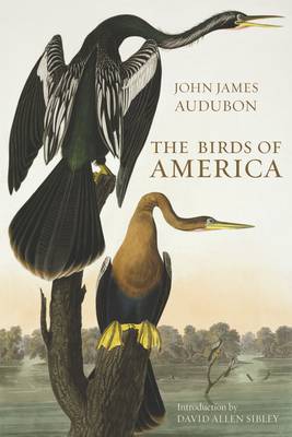 The Birds of America (Hardback)