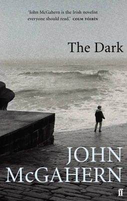 The Dark (Paperback)