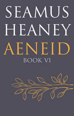 Aeneid: Book VI (Hardback)