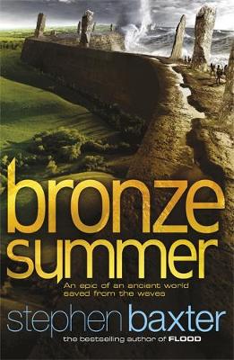 Bronze Summer (Paperback)