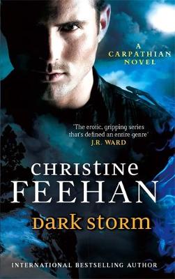 Dark Storm - The 'Dark' Carpathian Series 23 (Paperback)