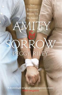 Amity & Sorrow (Paperback)