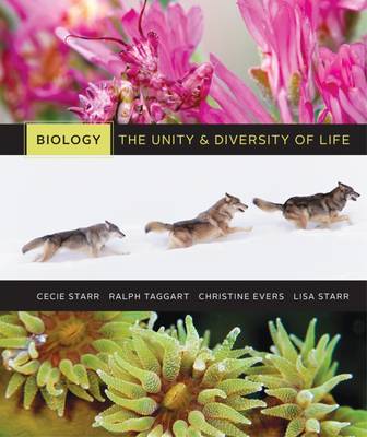 Diversity of Life: Volume 3 (Paperback)