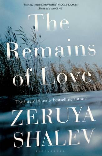 The Remains of Love (Paperback)