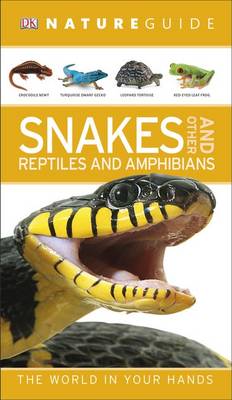 Nature Guide Snakes And Other Reptiles And Amphibians By