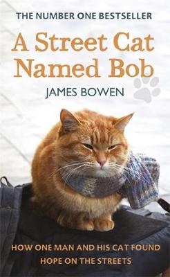 A Street Cat Named Bob: How One Man and His Cat Found Hope on the Streets (Hardback)