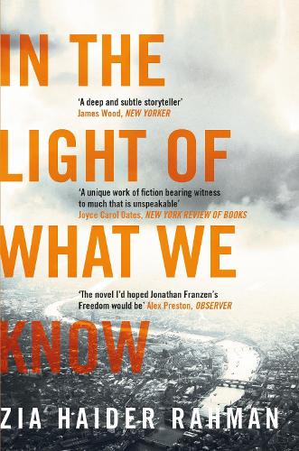 In the Light of What We Know (Paperback)