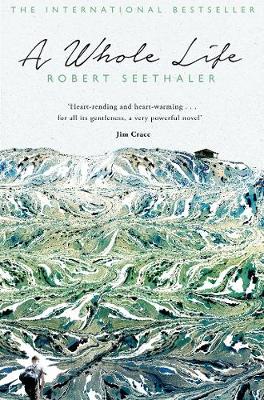 A Whole Life (Paperback)