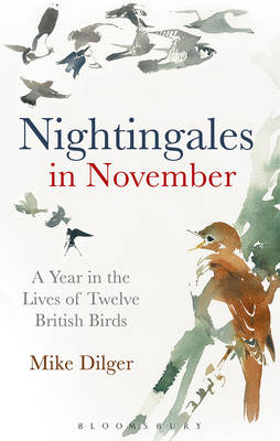 Nightingales in November: A Year in the Lives of Twelve British Birds (Hardback)