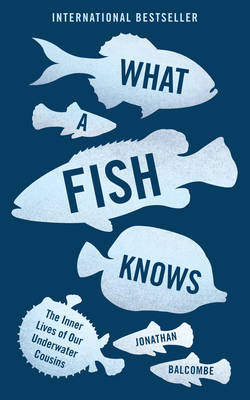 What A Fish Knows By Jonathan Balcombe Waterstones