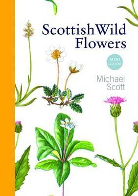 Scottish Wild Flowers (Paperback)