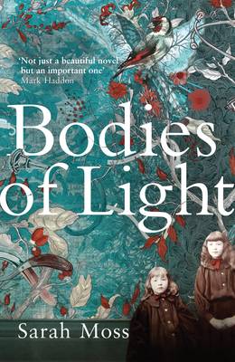 Bodies of Light (Paperback)