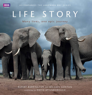 Life Story (Hardback)