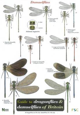 Guide to the Dragonflies and Damselflies of Britain - Occasional Publications S. No. 53 (Sheet map, folded)