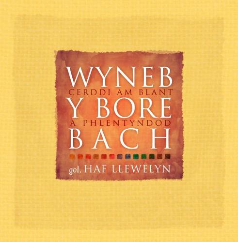 Wyneb y Bore Bach: Cerddi am Blant a Phlentyndod (Hardback)