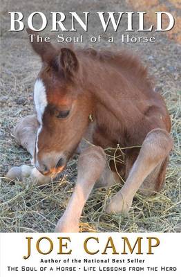 Born Wild - The Soul of a Horse (Paperback)